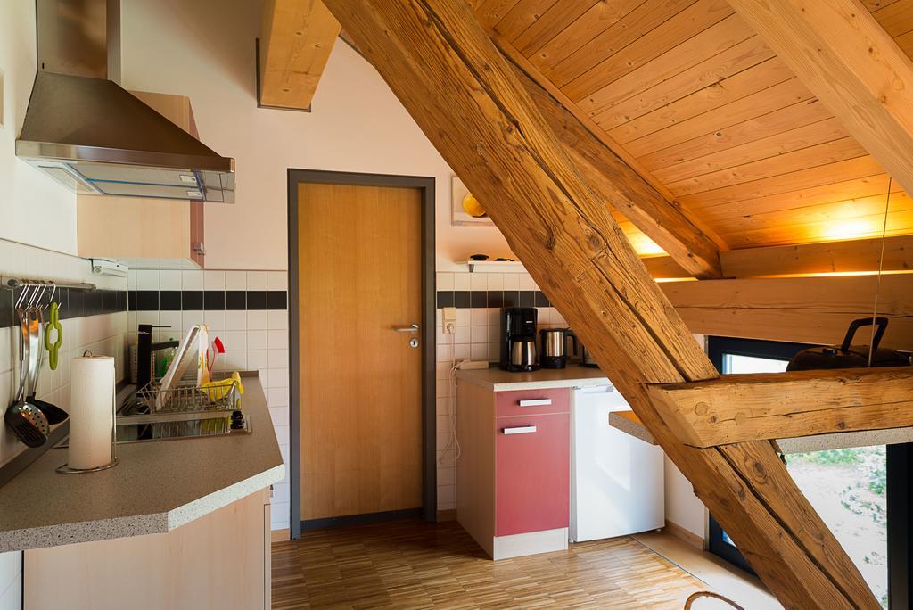 Alte Scheune Rietzschelhof Apartment Muglitztal